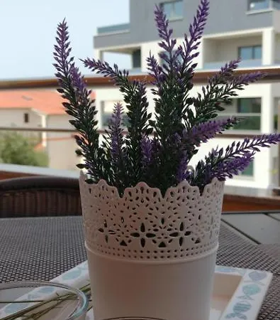 Apartman Monika Apartamento *